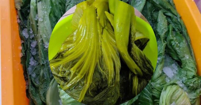 Sawi Jeruk Homemade, Ini Cara Nak Buat, Hanya Guna Lima Bahan