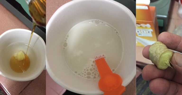 Susu Buang Angin, Petua Atasi Perut Sebu, Meragam, Bagus Untuk Pelawasan