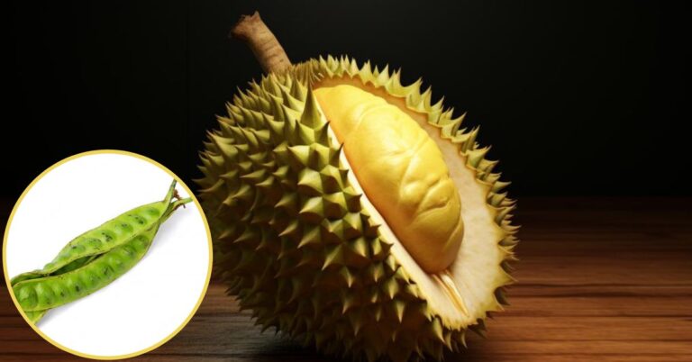 Durian & Petai Tidak Boleh Dimakan Pada Satu Masa, Saintis Ini Kongsi Fakta