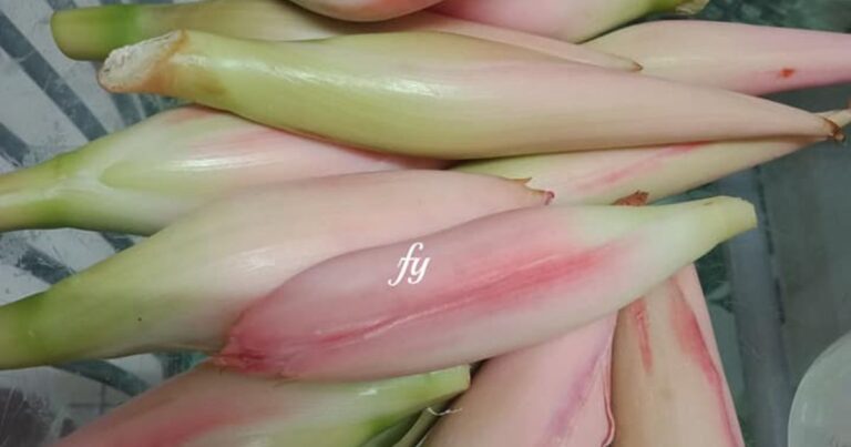 Tahan Sampai 6 Bulan, Ini Cara Simpan Bunga Kantan Dalam Peti Sejuk!