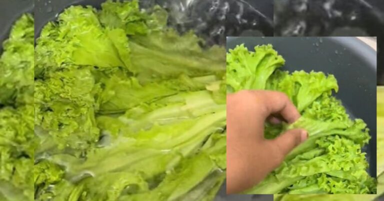 Sayur Layu Jangan Terus Buang, Ikut Langkah Ni Terus Kembali Segar!