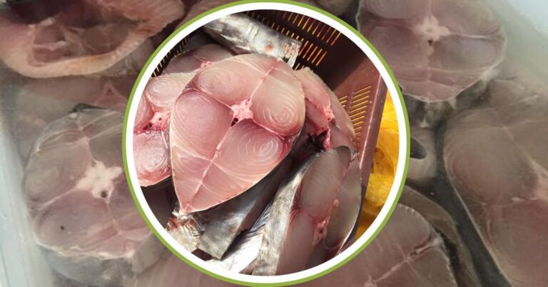 Ikan Kekal Segar Macam Baru Beli Di Pasar, Begini Cara Simpan Dalam Freezer