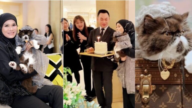 Hadiah Bernilai RM17K, Kucing “Bawal Exclusive” Sambut Ulang Tahun Di Butik Jenama Mewah