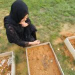 Screenshot 2024-09-23 092059