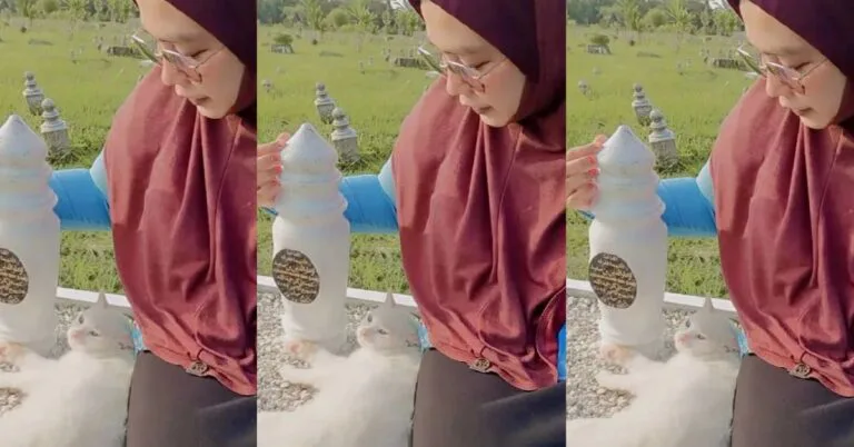Kucing Putih Jadi Teman Norhamimah Lawat Kubur Suami, “Waktu Saya Baca Doa, Uteh Pasti Duduk Di Tepi”