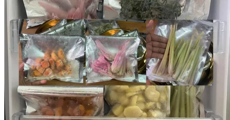 Tip Simpan Sayur Beku Untuk Kegunaan Masak Menu Raya
