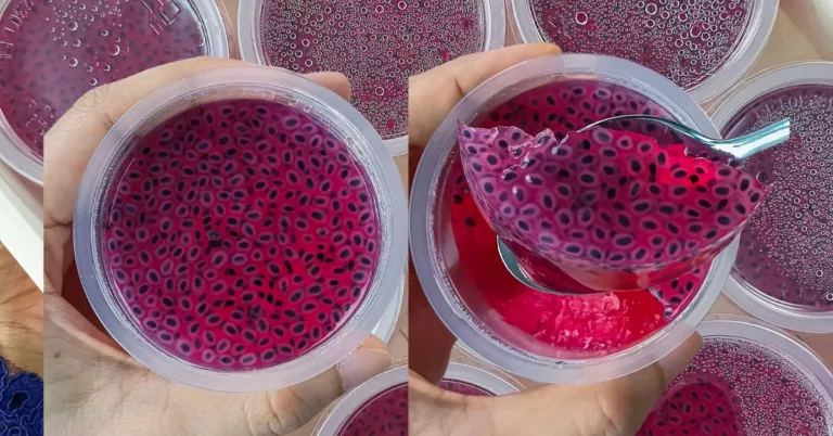 Resipi Agar-agar Sirap Ros Selasih, Sedap Makan Sejuk-sejuk