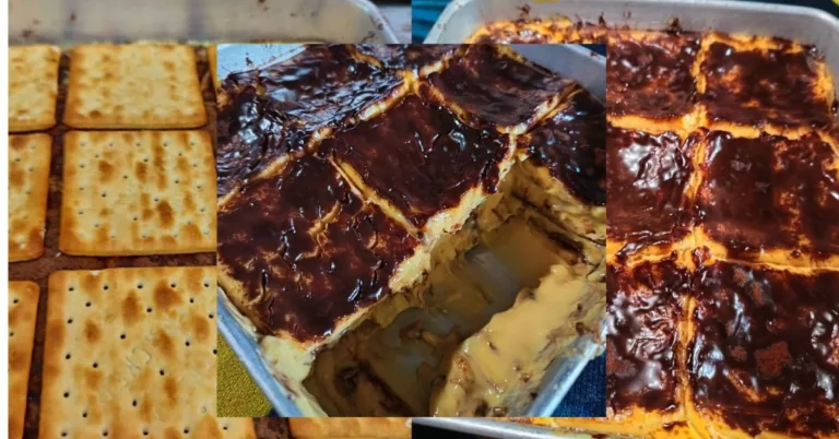 Puding Kastard Tiramisu Biskut Cream Crackers, Pemanis Mulut Menggoda Selera