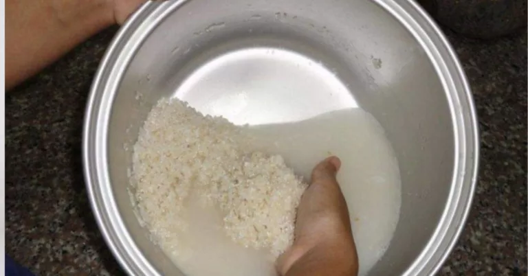 Petua Elak Nasi Cepat Basi, Letak Dua Bahan Rahsia Ini