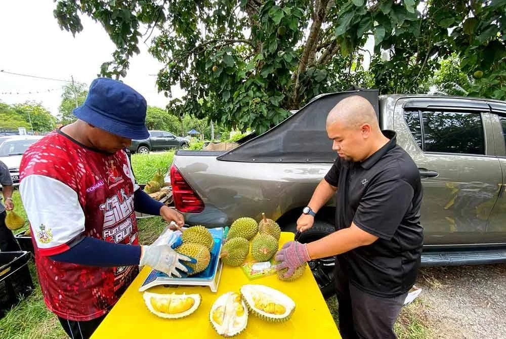 Musang King RM20 Sekilogram Kurang Dapat Sambutan, Ramai Berkira-kira Nak Berbelanja