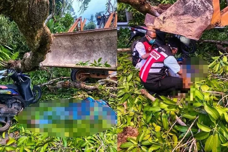 Warga Emas Maut Dihempap Dahan Pokok Ketika Menunggang Motosikal