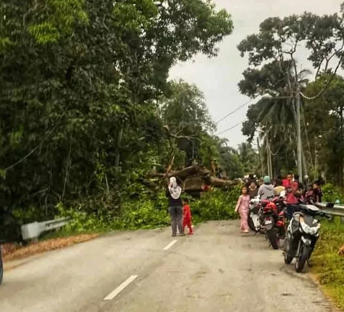 Warga Emas Maut Dihempap Dahan Pokok Ketika Menunggang Motosikal