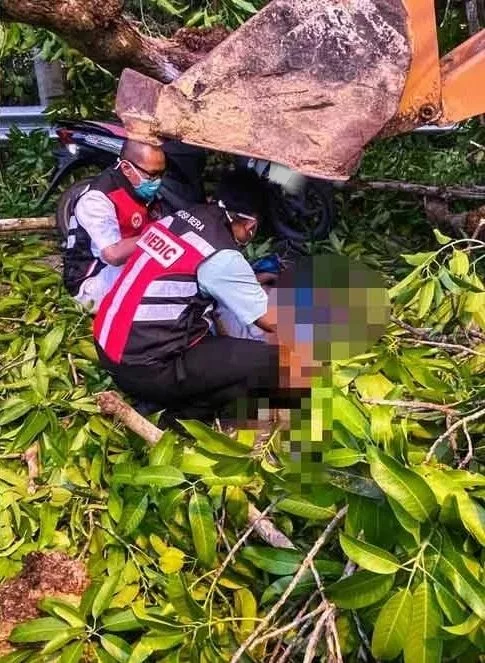 Warga Emas Maut Dihempap Dahan Pokok Ketika Menunggang Motosikal