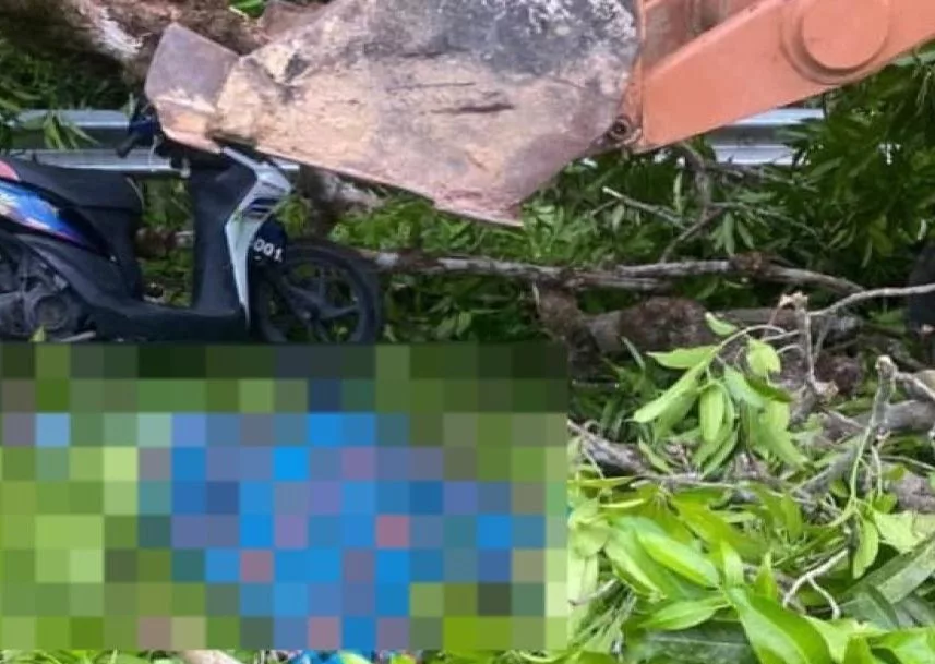 Warga Emas Maut Dihempap Dahan Pokok Ketika Menunggang Motosikal
