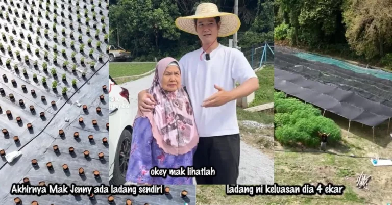Nubhan Buka Ladang Empat Ekar, Mak Jenny Dah Boleh Buat Banyak Sambal Tempoyak Daun Kayu