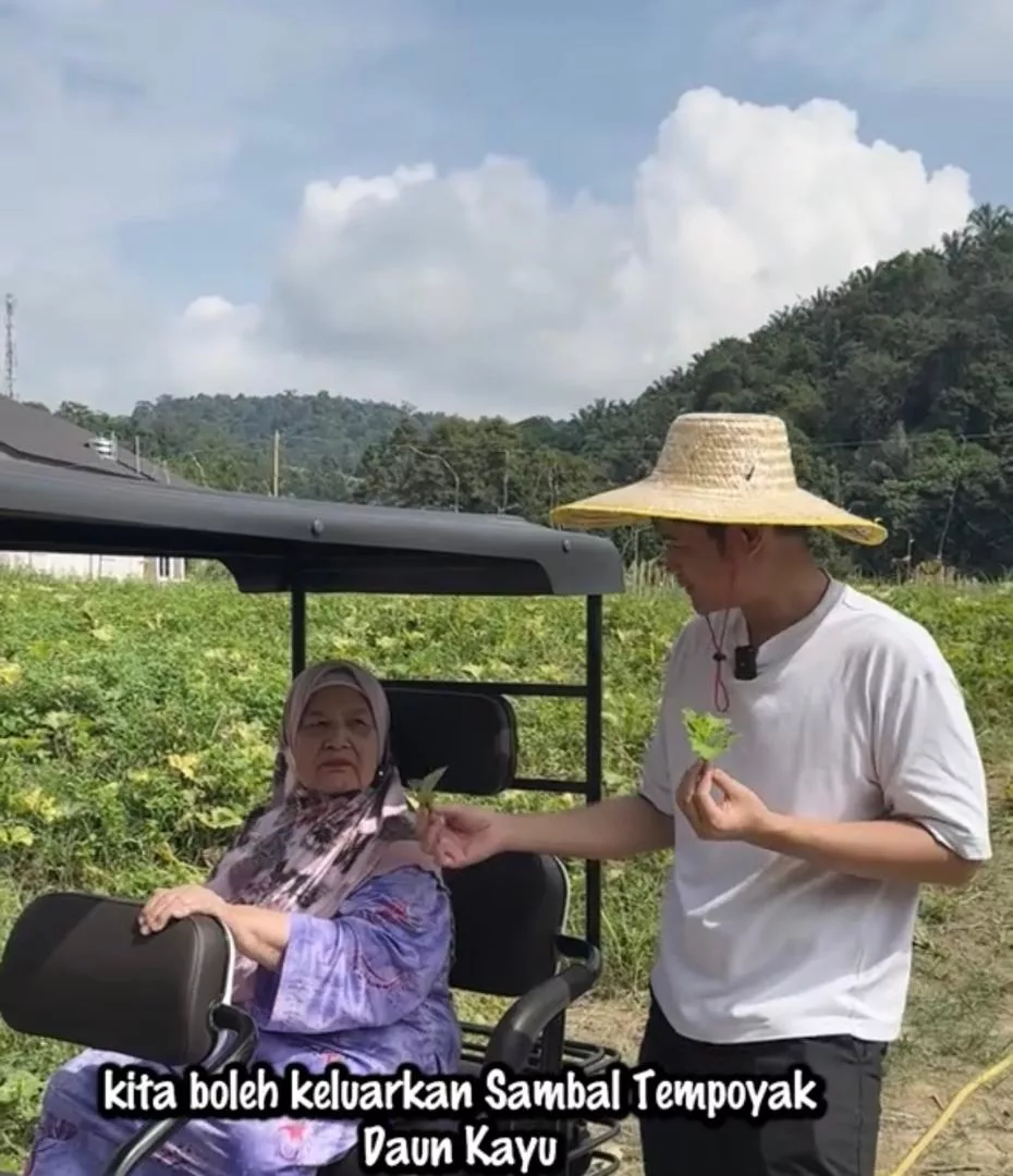 Nubhan Buka Ladang Empat Ekar, Mak Jenny Dah Boleh Buat Banyak Sambal Tempoyak Daun Kayu