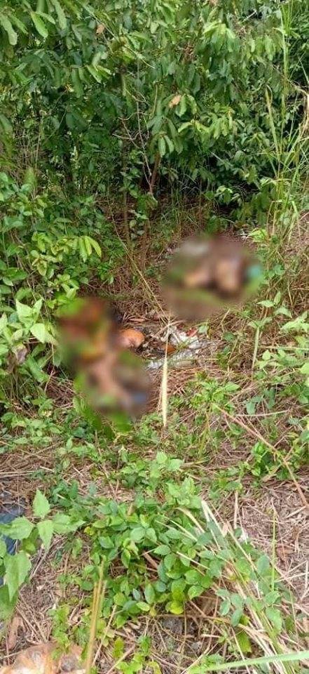 “Dia Kerat Anak, Cucu Saya Macam Ayam” – Ibu Mentua Tak Maafkan Menantu Sampai Mati