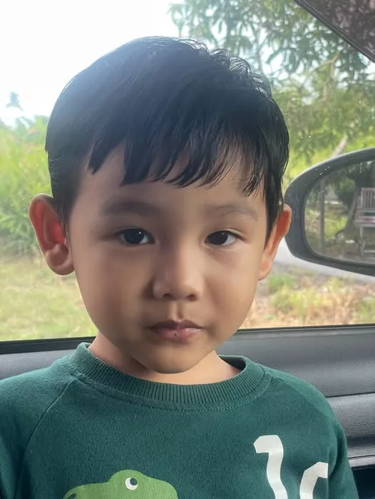 Influenza A: Kanak-kanak Lelaki 4 Tahun Meninggal Dunia Di Sarawak