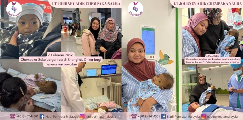 Pemindahan Hati Chempaka Naura! Kisah Menyentuh Hati Pengorbanan Luar Biasa Seorang Ibu 5 Pemindahan Hati Chempaka Naura! Kisah Menyentuh Hati Pengorbanan Luar Biasa Seorang Ibu