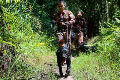 Hilang Ketika Mendaki Bersama Keluarga, Remaja Hilang Ditemukan Meninggal Dunia 5 Hilang Ketika Mendaki Bersama Keluarga, Remaja Hilang Ditemukan Meninggal Dunia
