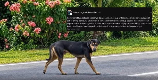 “Hentikan Spekulasi, Hormati Keluarga Kami”, Bapa Saudara Nur Haira Nafi Anjing Milik Datuk